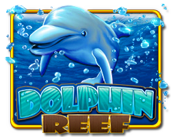 Dolphin Reef